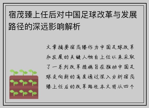 宿茂臻上任后对中国足球改革与发展路径的深远影响解析