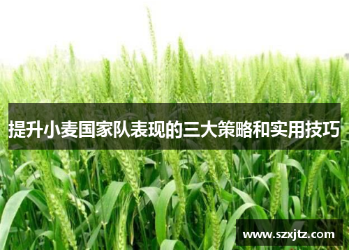 提升小麦国家队表现的三大策略和实用技巧